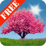 Logo of Spring Trees Free android Application 