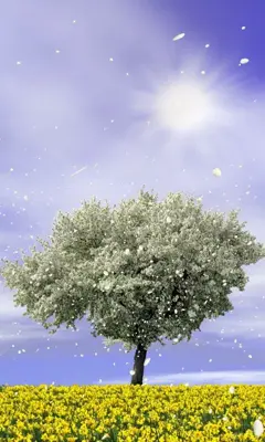 Spring Trees Free android App screenshot 1