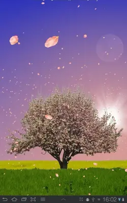 Spring Trees Free android App screenshot 2